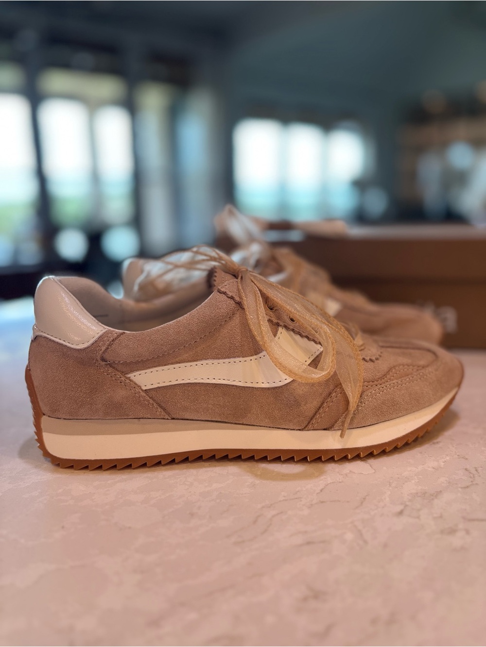Dolce Vita B.NTCD Suede Sneaker in Dark Sand Suede - Picture 8 of 9